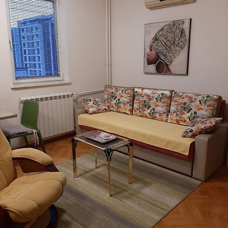 Vlado Apartment Vs ベオグラード エクステリア 写真